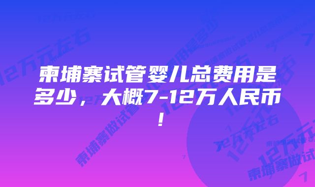 柬埔寨试管婴儿总费用是多少，大概7-12万人民币！