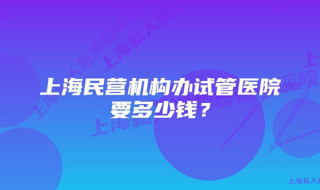 上海民营机构办试管医院要多少钱？