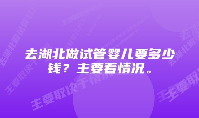 去湖北做试管婴儿要多少钱？主要看情况。