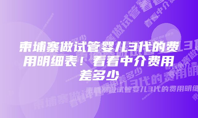 柬埔寨做试管婴儿3代的费用明细表！看看中介费用差多少