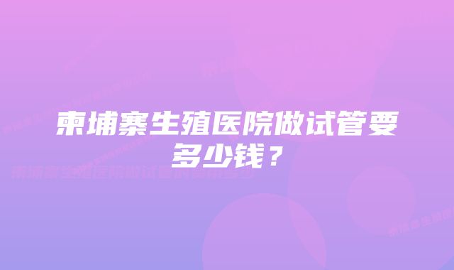 柬埔寨生殖医院做试管要多少钱？