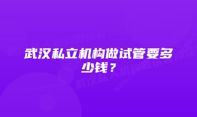 武汉私立机构做试管要多少钱？