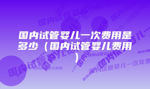 国内试管婴儿一次费用是多少（国内试管婴儿费用）