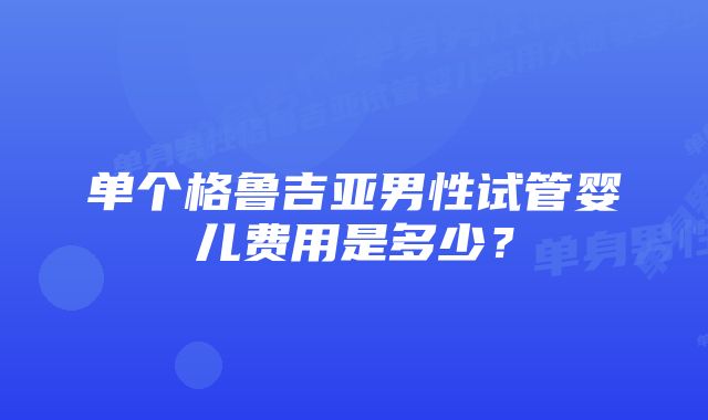 单个格鲁吉亚男性试管婴儿费用是多少？