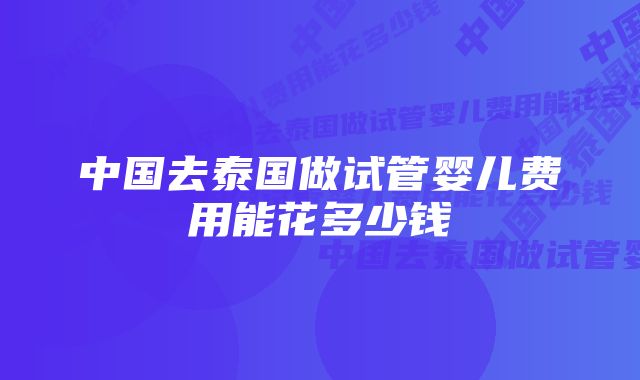 中国去泰国做试管婴儿费用能花多少钱