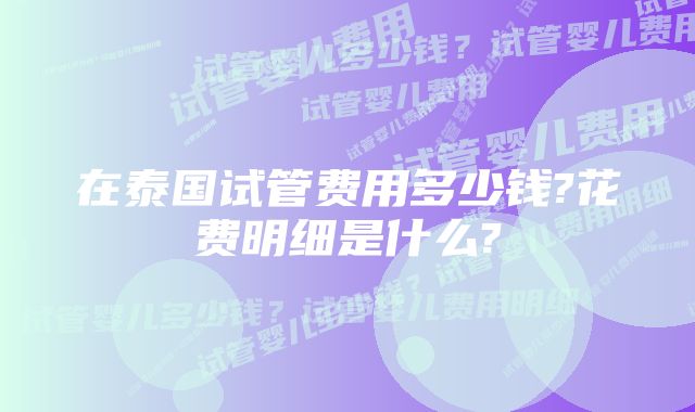 在泰国试管费用多少钱?花费明细是什么?