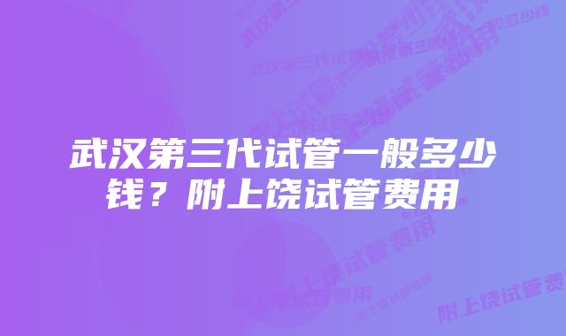 武汉第三代试管一般多少钱？附上饶试管费用