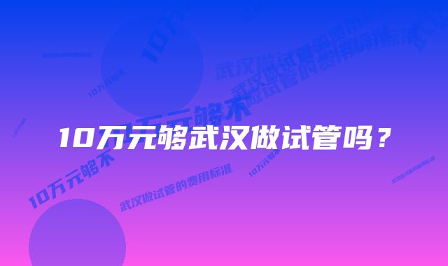 10万元够武汉做试管吗？