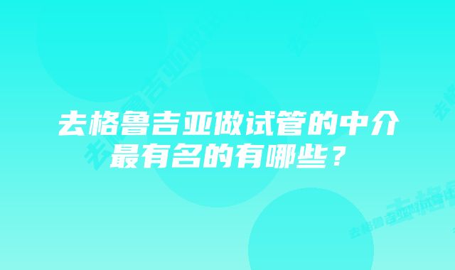 去格鲁吉亚做试管的中介最有名的有哪些？