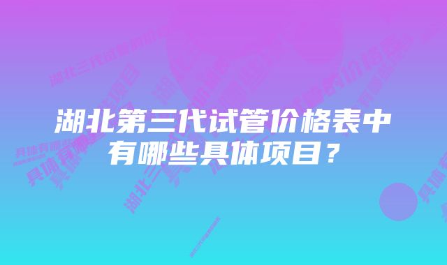 湖北第三代试管价格表中有哪些具体项目？