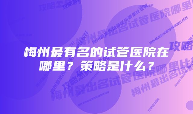 梅州最有名的试管医院在哪里？策略是什么？