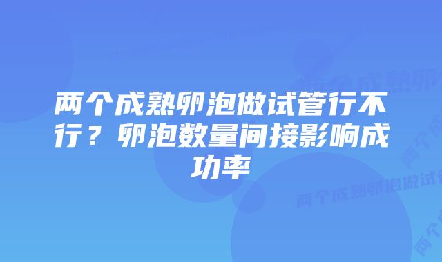 两个成熟卵泡做试管行不行？卵泡数量间接影响成功率