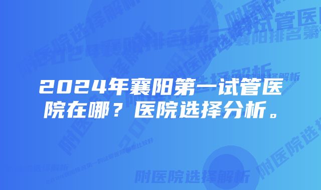 2024年襄阳第一试管医院在哪？医院选择分析。