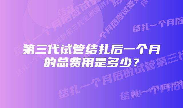 第三代试管结扎后一个月的总费用是多少？