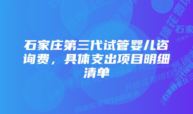 石家庄第三代试管婴儿咨询费，具体支出项目明细清单