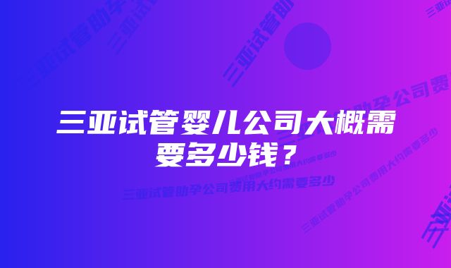 三亚试管婴儿公司大概需要多少钱？