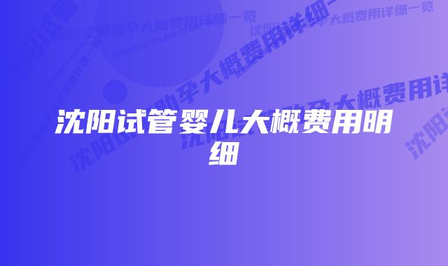 沈阳试管婴儿大概费用明细