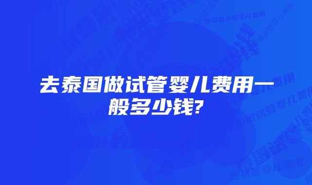 去泰国做试管婴儿费用一般多少钱?