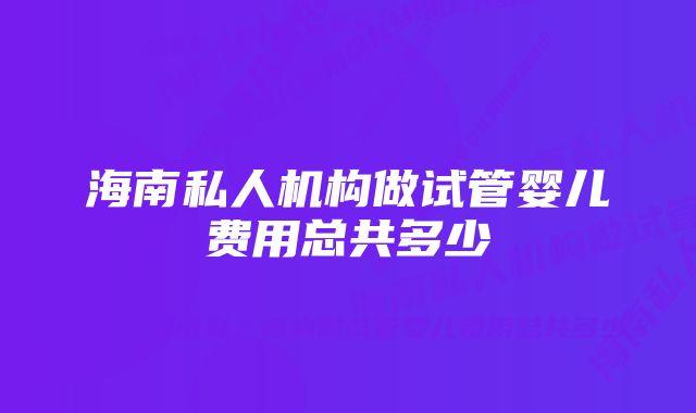 海南私人机构做试管婴儿费用总共多少