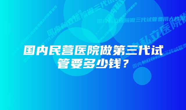 国内民营医院做第三代试管要多少钱？