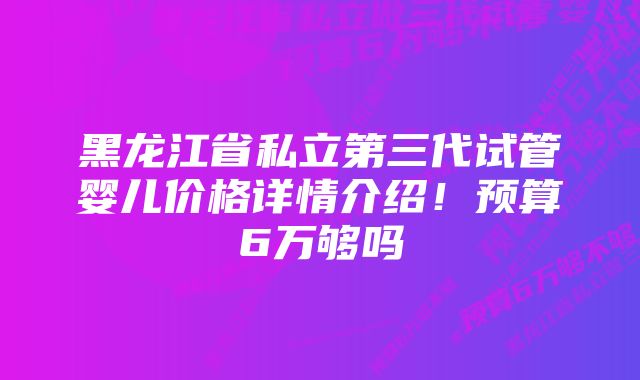 黑龙江省私立第三代试管婴儿价格详情介绍！预算6万够吗