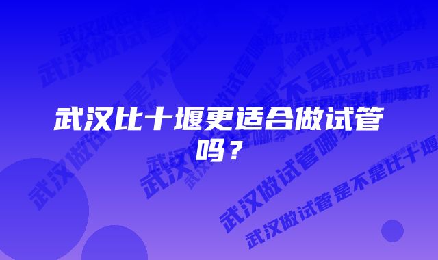 武汉比十堰更适合做试管吗？