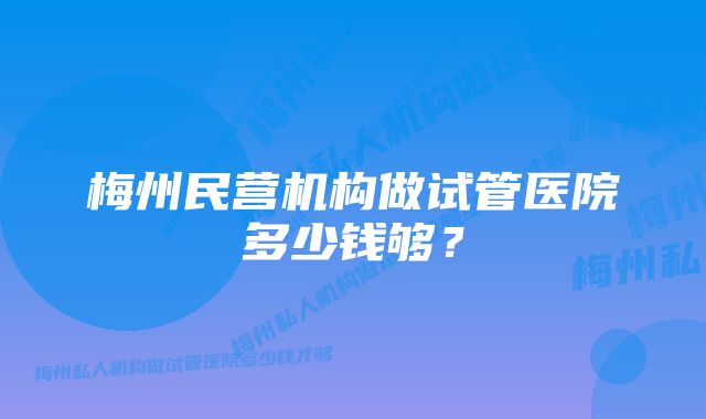 梅州民营机构做试管医院多少钱够？