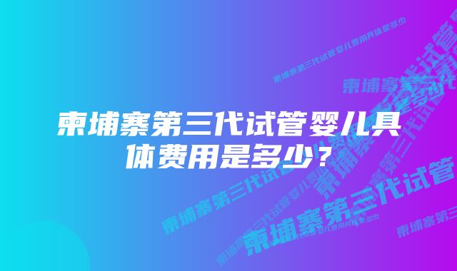 柬埔寨第三代试管婴儿具体费用是多少？