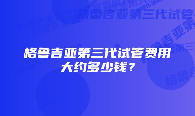 格鲁吉亚第三代试管费用大约多少钱？