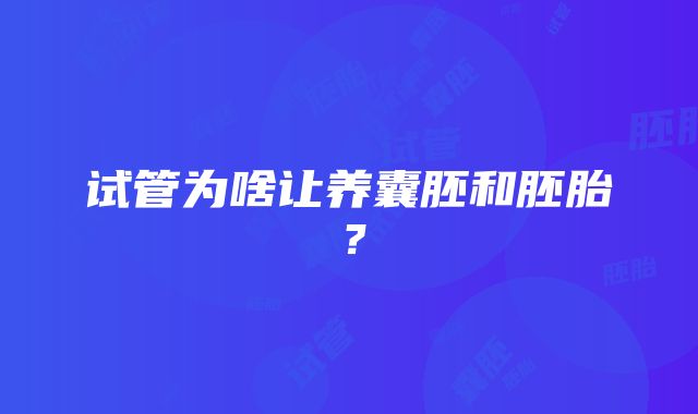 试管为啥让养囊胚和胚胎？