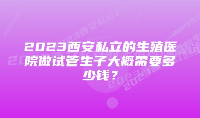 2023西安私立的生殖医院做试管生子大概需要多少钱？