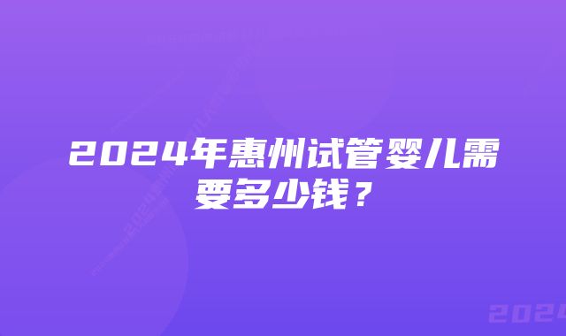 2024年惠州试管婴儿需要多少钱？