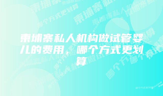 柬埔寨私人机构做试管婴儿的费用，哪个方式更划算