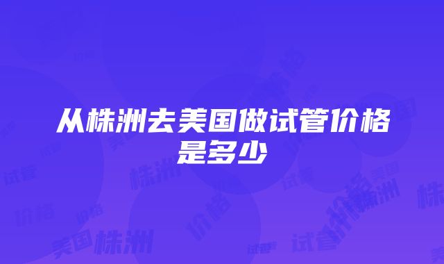 从株洲去美国做试管价格是多少