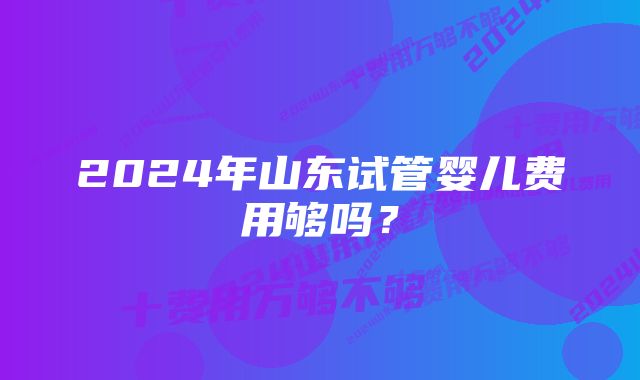 2024年山东试管婴儿费用够吗？