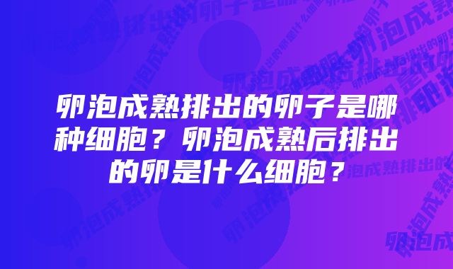 卵泡成熟排出的卵子是哪种细胞？卵泡成熟后排出的卵是什么细胞？