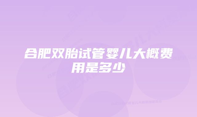 合肥双胎试管婴儿大概费用是多少