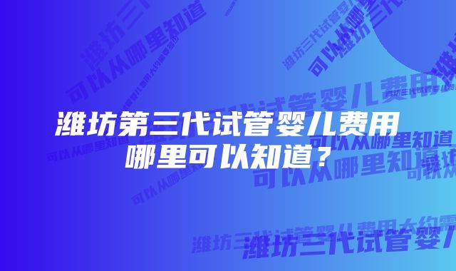 潍坊第三代试管婴儿费用哪里可以知道？