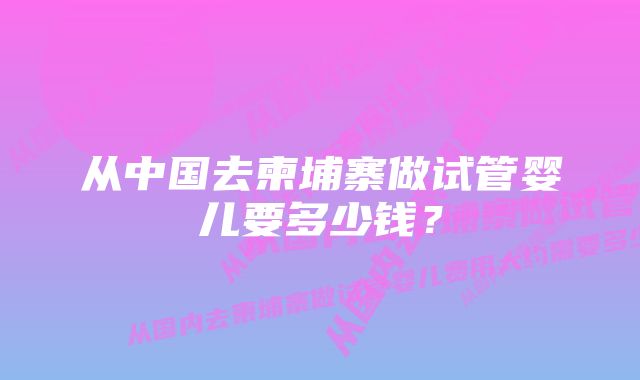 从中国去柬埔寨做试管婴儿要多少钱？