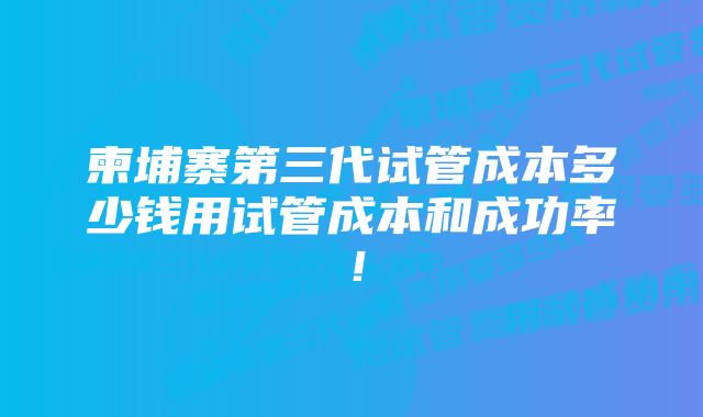 柬埔寨第三代试管成本多少钱用试管成本和成功率！