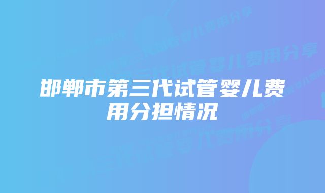 邯郸市第三代试管婴儿费用分担情况