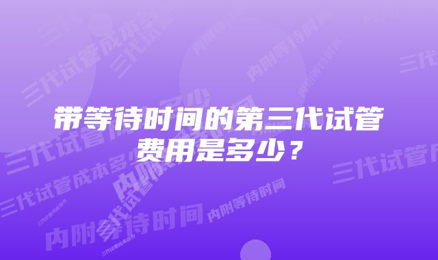 带等待时间的第三代试管费用是多少？