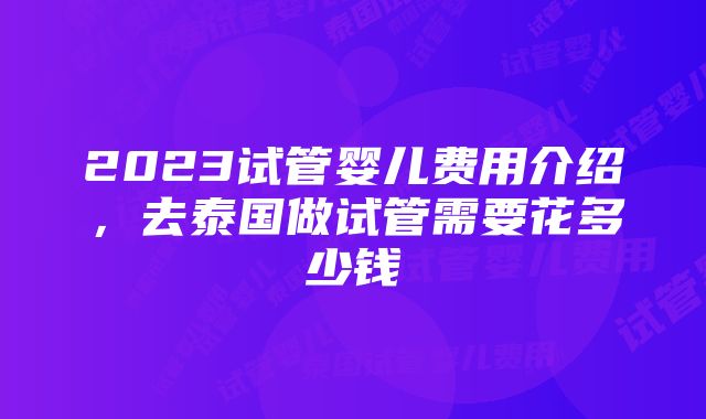 2023试管婴儿费用介绍，去泰国做试管需要花多少钱