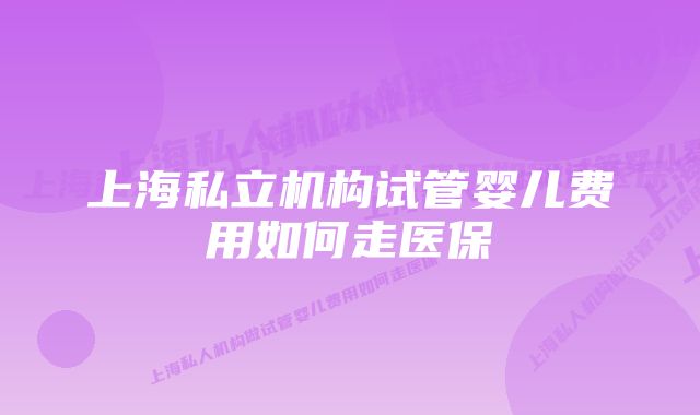 上海私立机构试管婴儿费用如何走医保