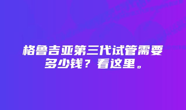 格鲁吉亚第三代试管需要多少钱？看这里。