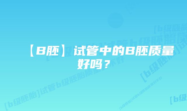 【B胚】试管中的B胚质量好吗？