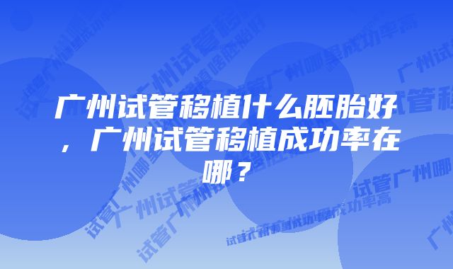 广州试管移植什么胚胎好，广州试管移植成功率在哪？