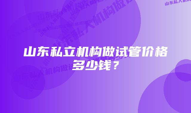 山东私立机构做试管价格多少钱？