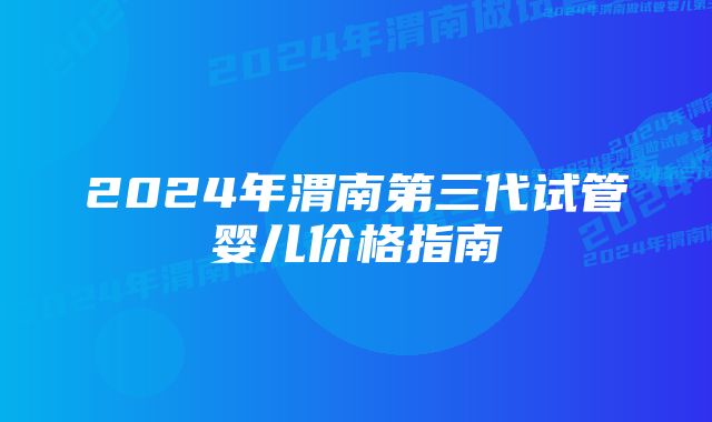 2024年渭南第三代试管婴儿价格指南