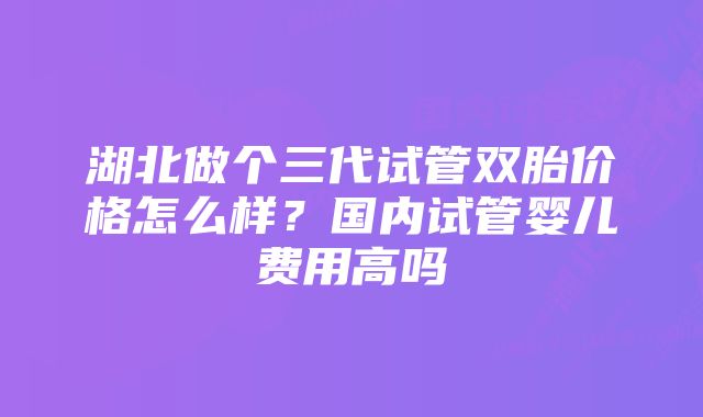 湖北做个三代试管双胎价格怎么样？国内试管婴儿费用高吗